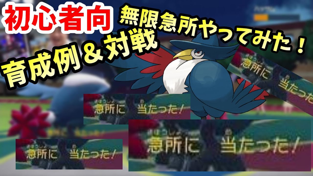 ドンカラスが強すぎるやばい育成例と対戦【ポケモンSV】【ポケモンSS】【企画系】