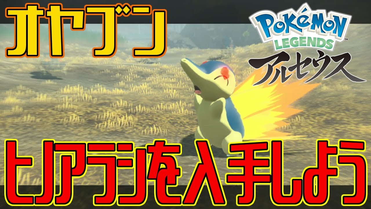 【ポケモンアルセウス】オヤブンのヒノアラシを入手しよう【Pokémon LEGENDS アルセウス】