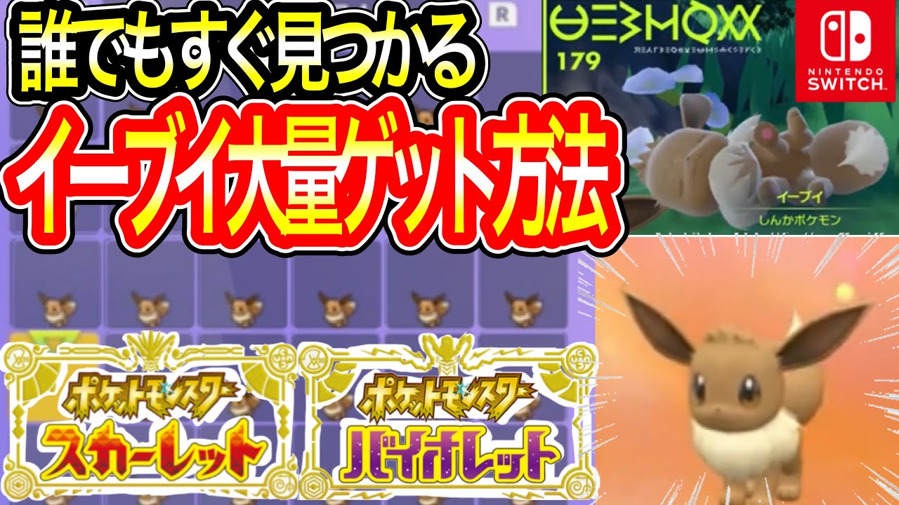 【ポケモンSV】誰でも簡単にイーブイをたくさんゲットする方法