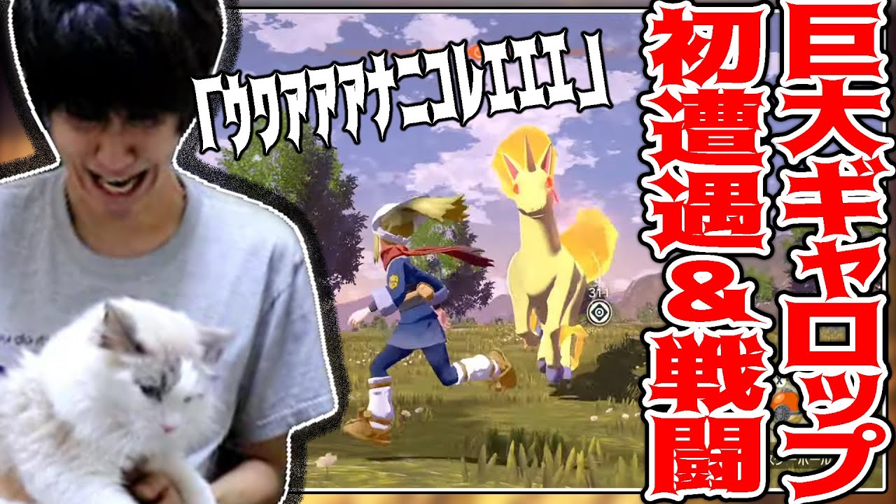 【新作】異次元の強さの巨大ギャロップ遭遇＆戦闘シーン【2022/1/27】【ポケモンアルセウス】