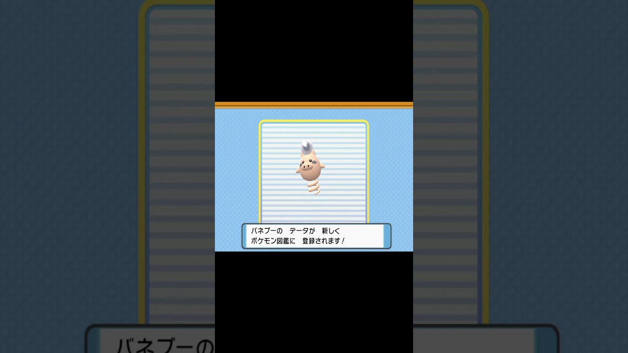 色違いバネブー自然遭遇【ポケモンBDSP】 #Shorts