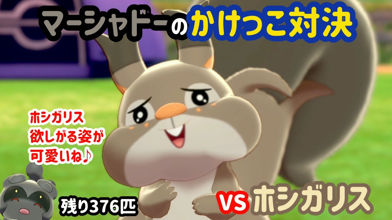 VSホシガリス ガラル図鑑No.24 【マーシャドーのかけっこ対決】