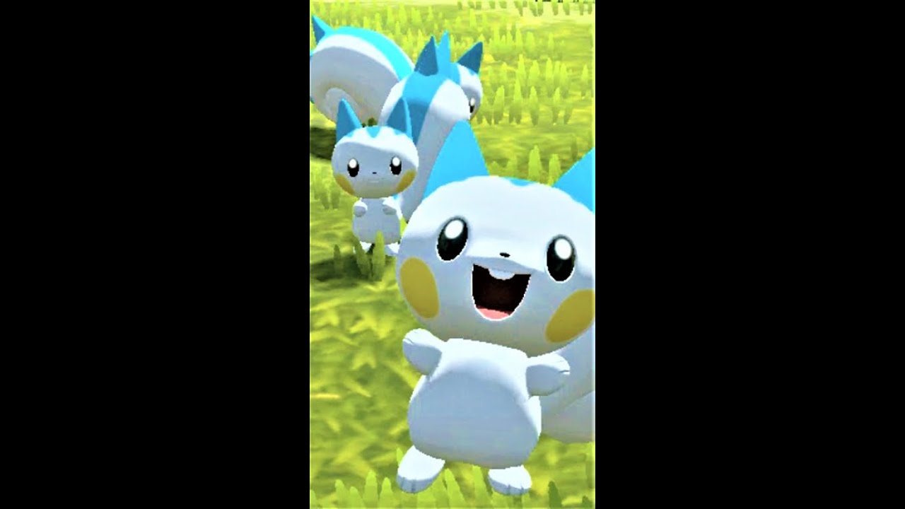 パチリス見て癒されよう【ポケモンレジェンズアルセウス】#Shorts