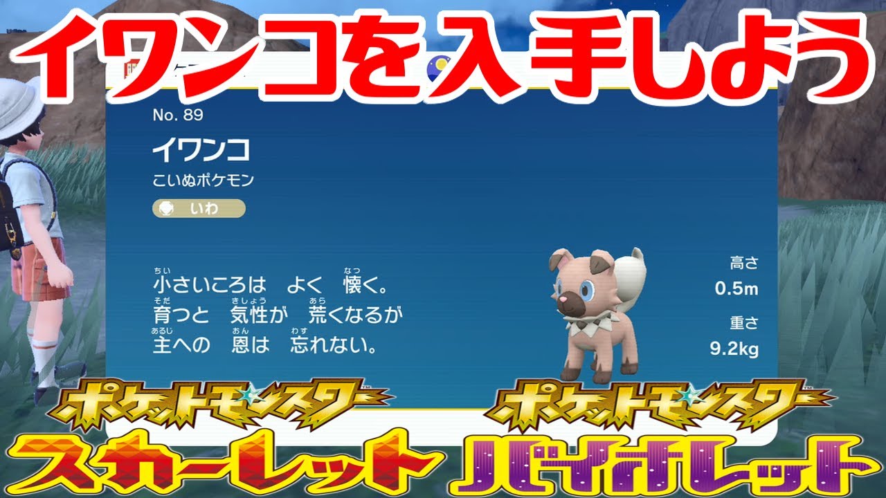 【ポケモンSV】イワンコを入手しよう【ポケットモンスター スカーレット・バイオレット】Pocket Monsters
