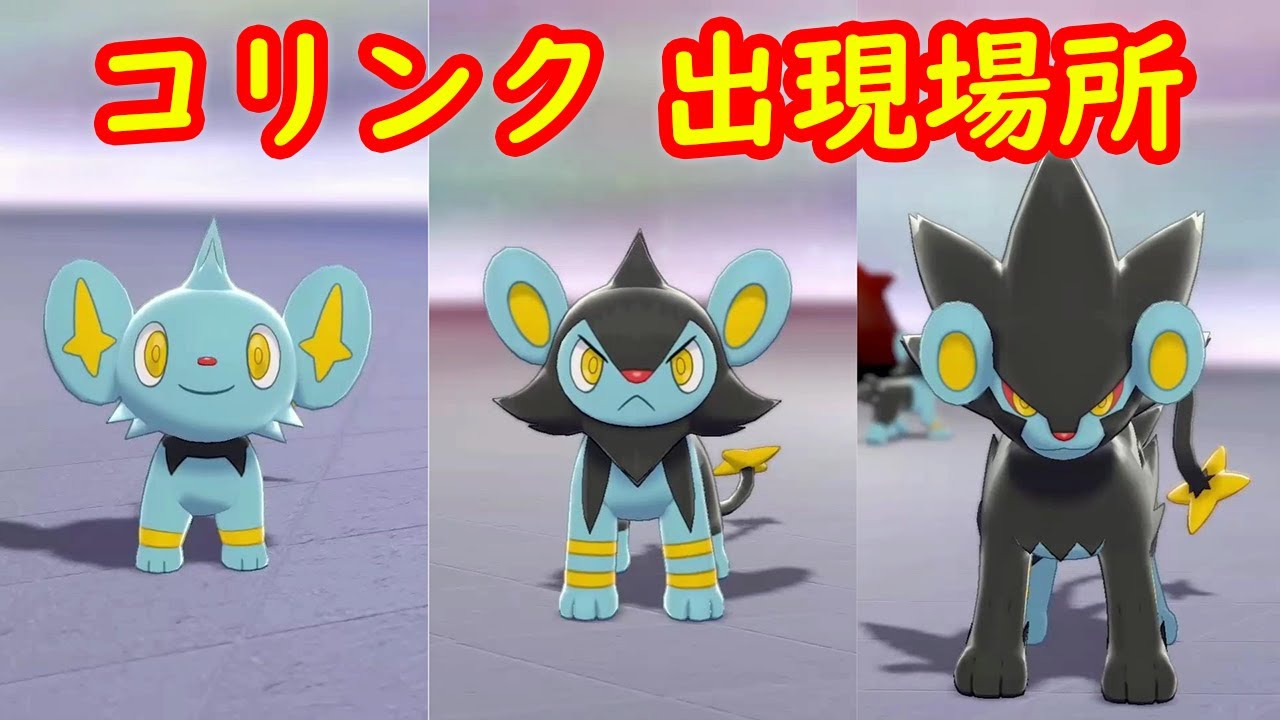 【コリンク】出現場所 攻略【鎧の孤島 ポケモン剣盾DLC】