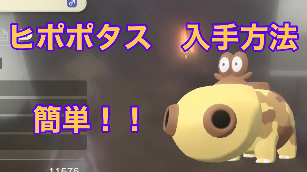 【Pokémon LEGENDS アルセウス】ヒポポタス入手方法　攻略動画