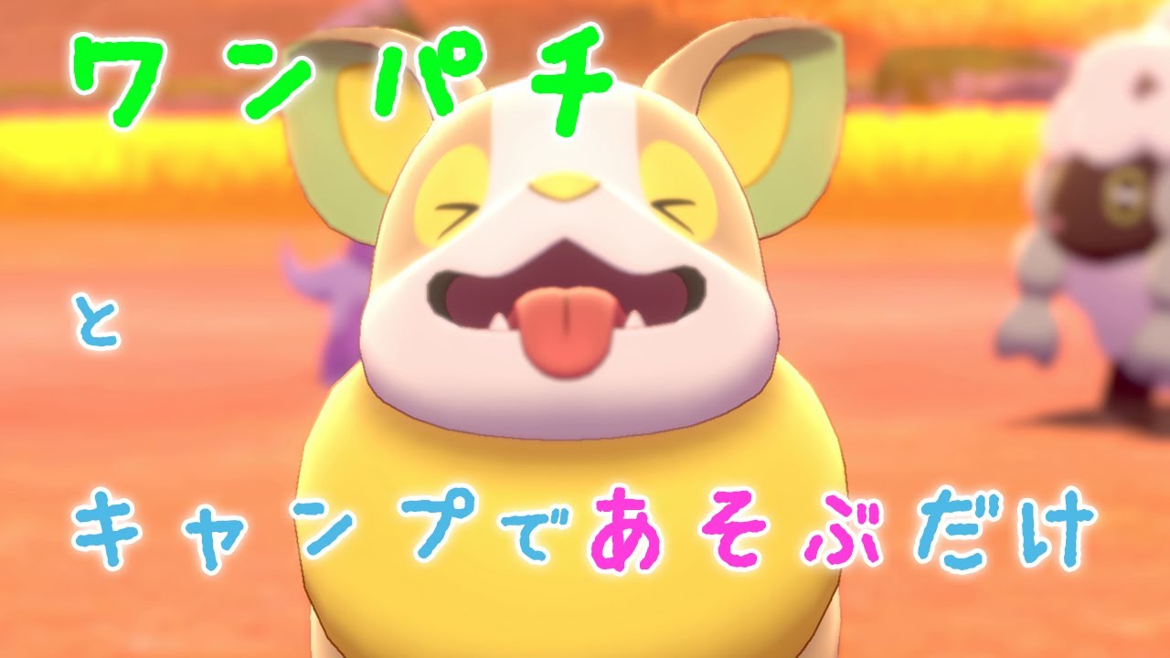 ワンパチとキャンプで遊ぶだけ
