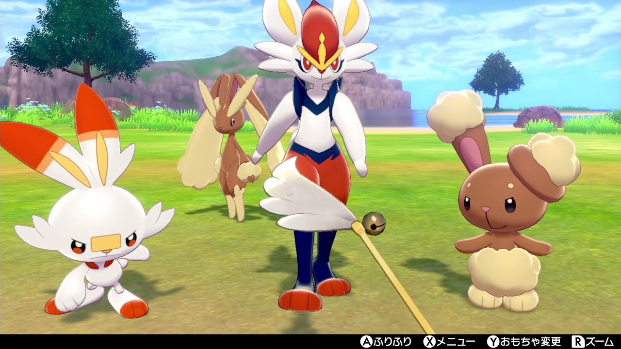 鎧の孤島解禁！ミミロル・ミミロップ・ヒバニー・エースバーンとキャンプで遊びます！！【ポケモン剣盾/ソードシールド/鎧の孤島】