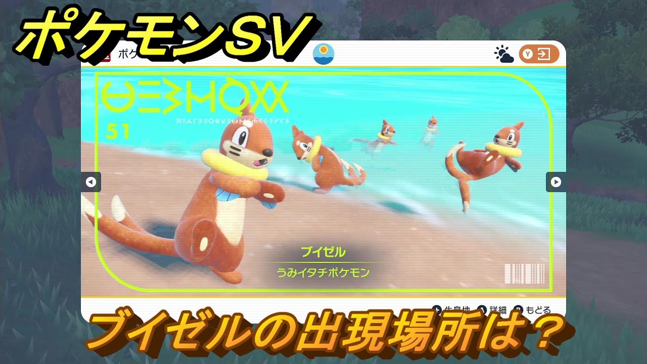 ポケモンＳＶ　ブイゼルの出現場所は？図鑑No.５１　ポケモン図鑑を埋めよう！　【スカーレット・バイオレット】