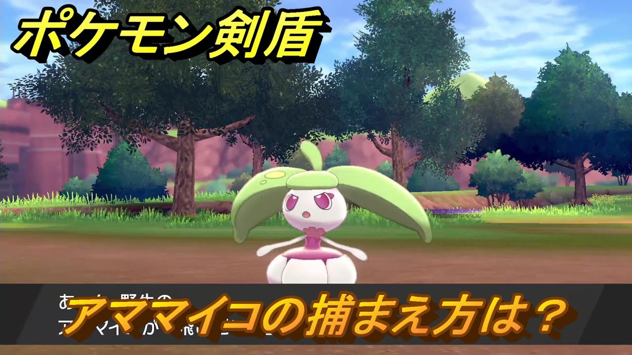 ポケモン剣盾　アママイコを捕まえる方法！オススメの場所は？天気は？ポケモン図鑑コンプへの道！　最新版【ポケモンソード・シールド】