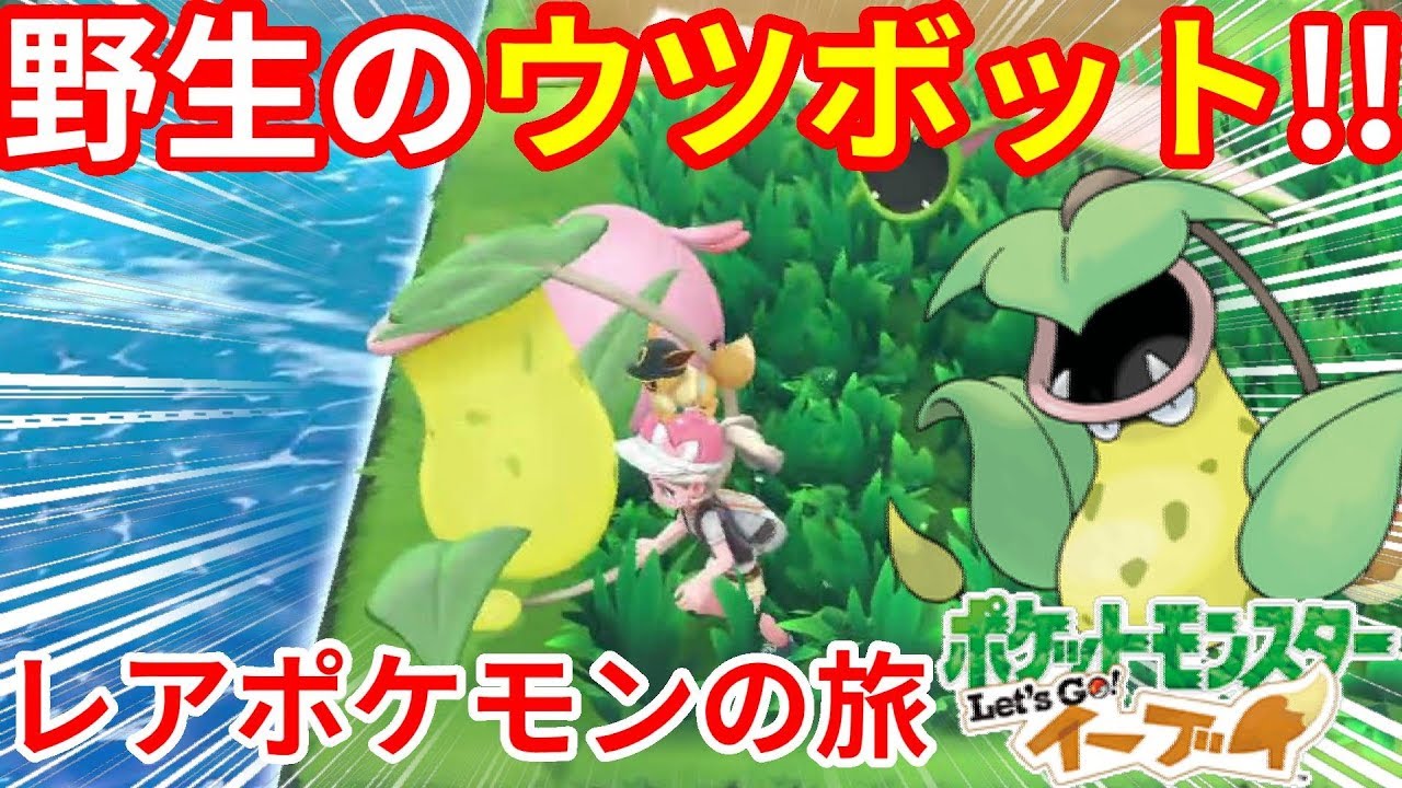 野生のウツボットやっときた！進化の石使わなくてもゲットできる！【ポケモンLet'sGO！イーブイ】