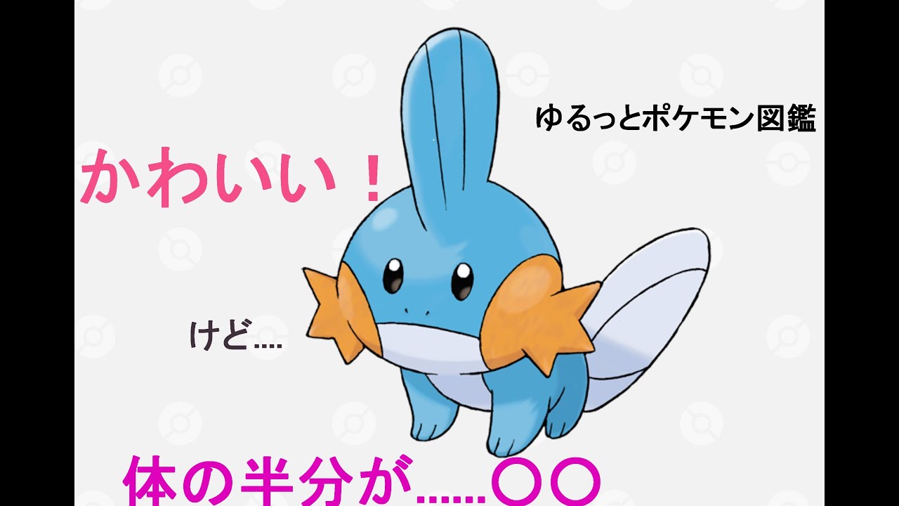 ゆるっとポケモン図鑑 41話 ミズゴロウ