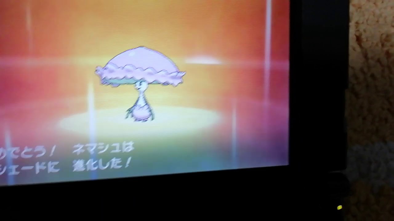 【ポケモンサン】ネマシュ進化