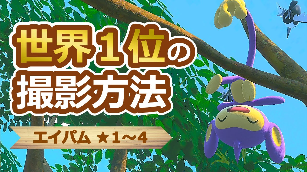 【Newポケモンスナップ】エイパム星１~星４ ハイスコア撮影方法【高得点/攻略】