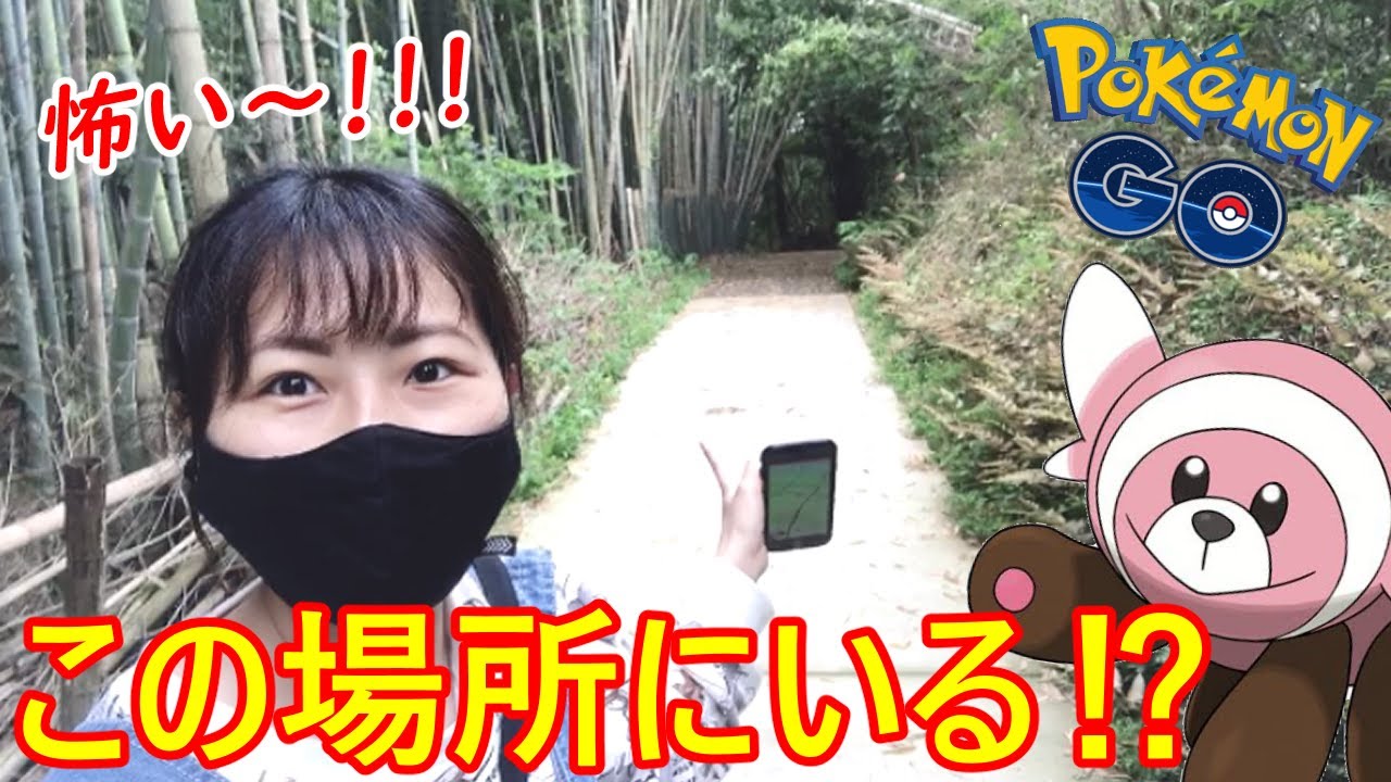 神隠しにあったヌイコグマを探せ！！【ポケモンGO】