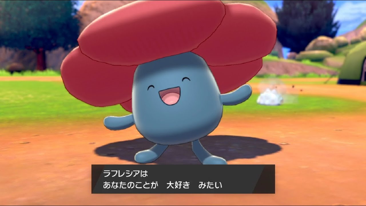 ラフレシアさんとキャンプで遊ぶ（仲良し）【ポケモン剣盾】