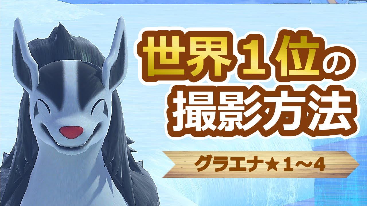 【Newポケモンスナップ】グラエナ星１~星４ ハイスコア撮影方法【高得点/攻略】