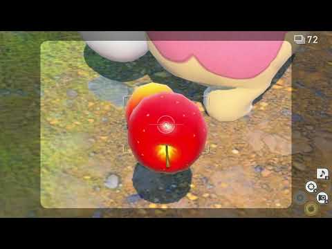 Newポケモンスナップ　★4タブンネ【5693】