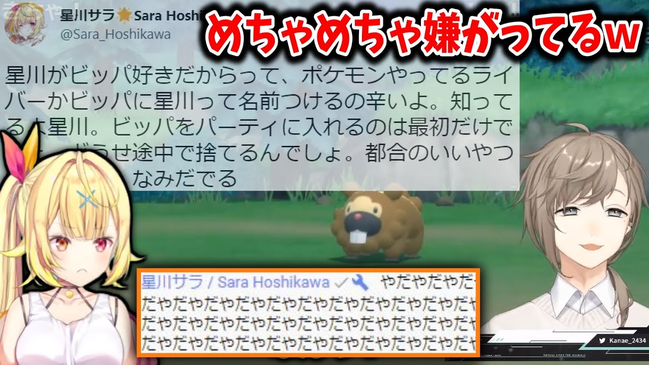 【にじさんじ切り抜き】ビッパに名前を付けられそうになり嫌がる星川サラ【叶/星川サラ/かなえぼし】