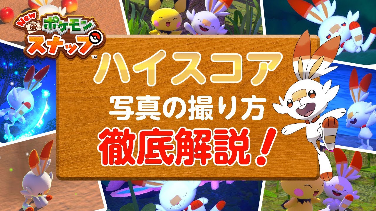 New ポケモンスナップ 攻略 星1~星4のヒバニーをハイスコア・高得点（4000点以上）で撮る方法を解説！