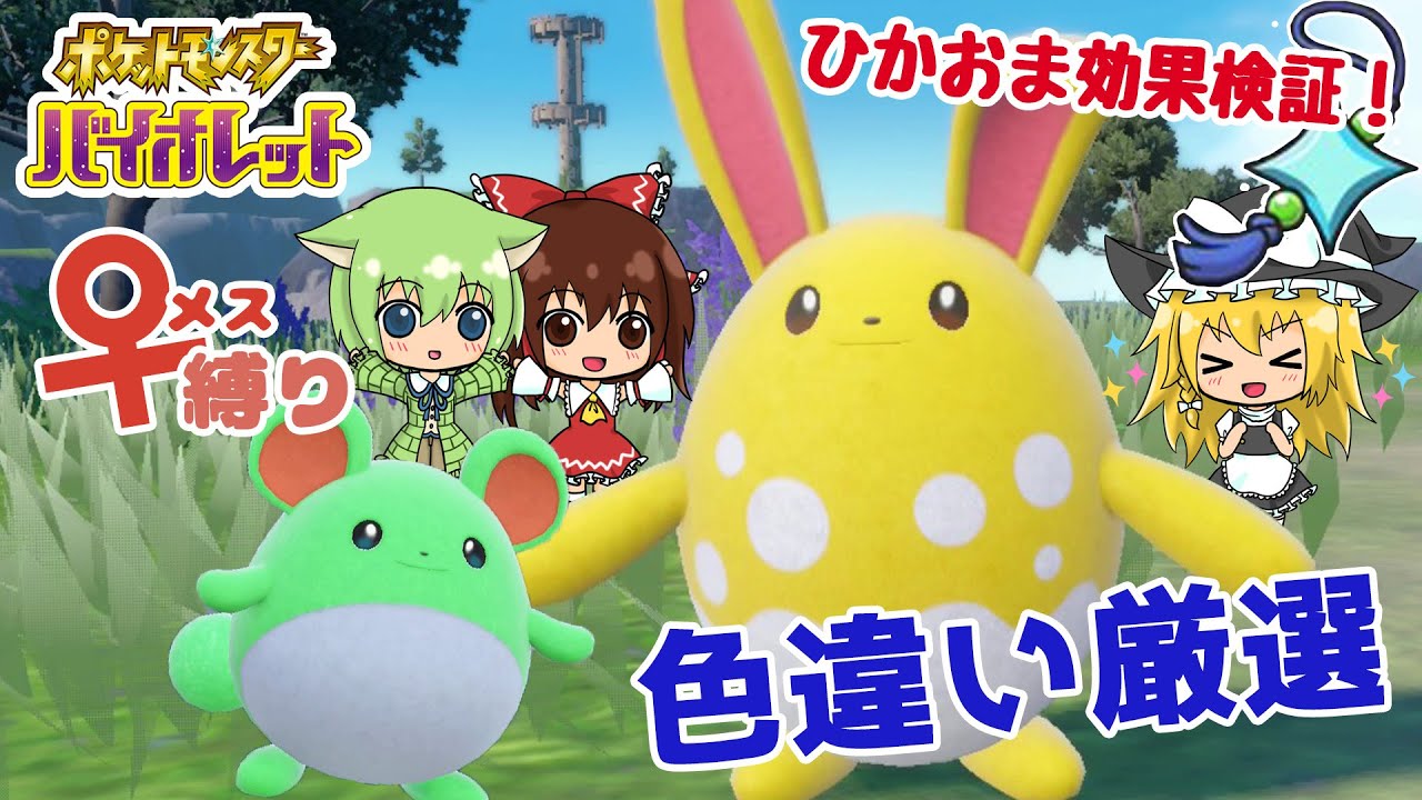 【SV色厳選】ひかおま検証でまさかのドロ沼！マリル色厳選！【♀縛り】【ポケモンSV】【ゆっくり実況】