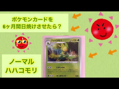【ポケカ】ハハコモリを6ヶ月間☀️日焼けさせてみた結果【ポケモンカード】