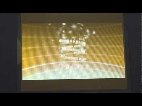 ポケットモンスターホワイト　マメパト最終進化・ケンホロウ