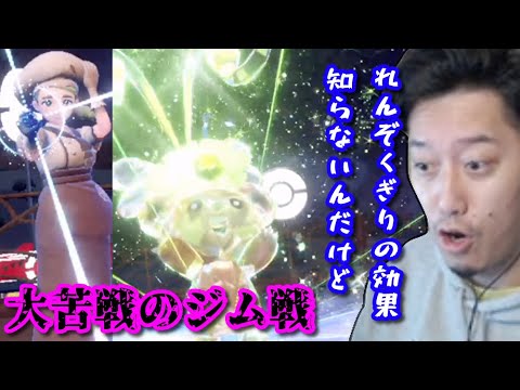 最序盤のジム戦の「ヒメグマ」に大苦戦な布団ちゃん　2022/12/19