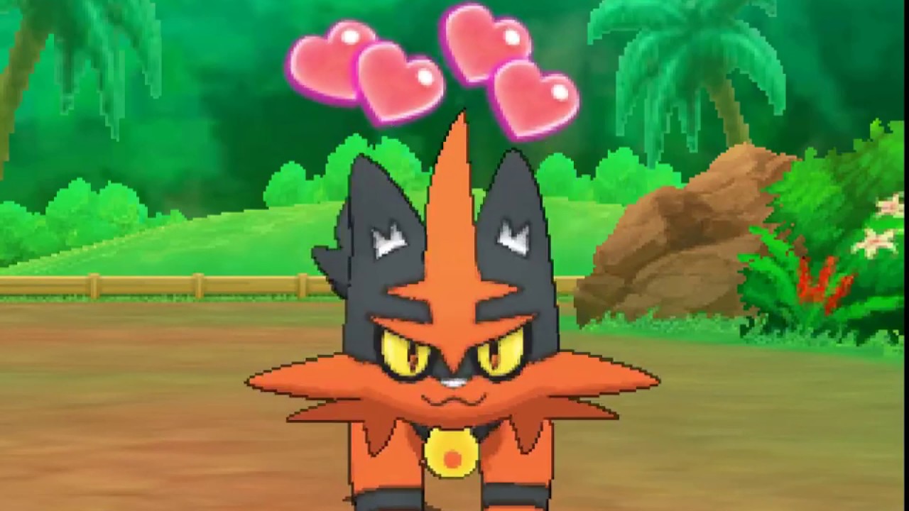 ポケリフレ　ニャヒートと戯れるだけの動画