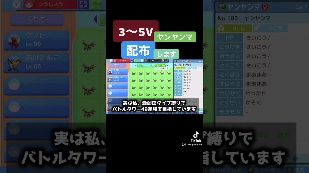 入手困難、ヤンヤンマを配布します