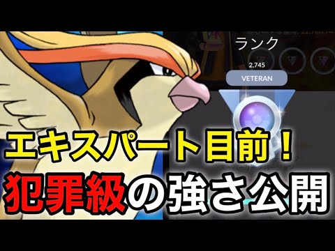 【ポケモンgo】エキスパ目前‼️害悪ピジョットが強すぎた！！（ハイパーリーグ）