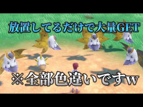 ほぼ放置しているだけでウルガモスの色違い入手できるw 【ポケモンSV】