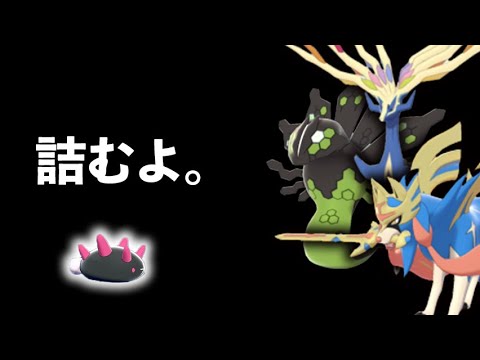 ここだけの話、禁伝ってナマコでだいたい詰んでない？【ポケモン剣盾/シリーズ8】