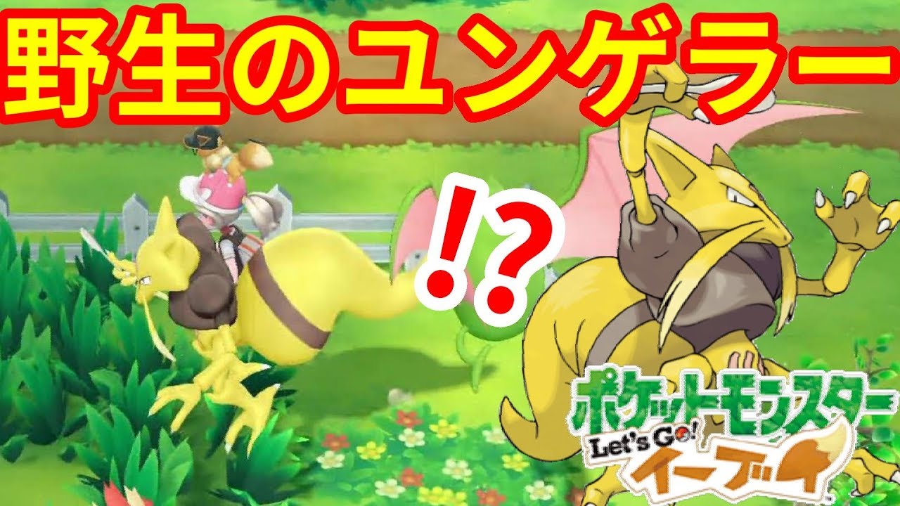 野生のユンゲラーゲット！逃げないことに驚き！！【ポケモンLet'sGO！イーブイ】