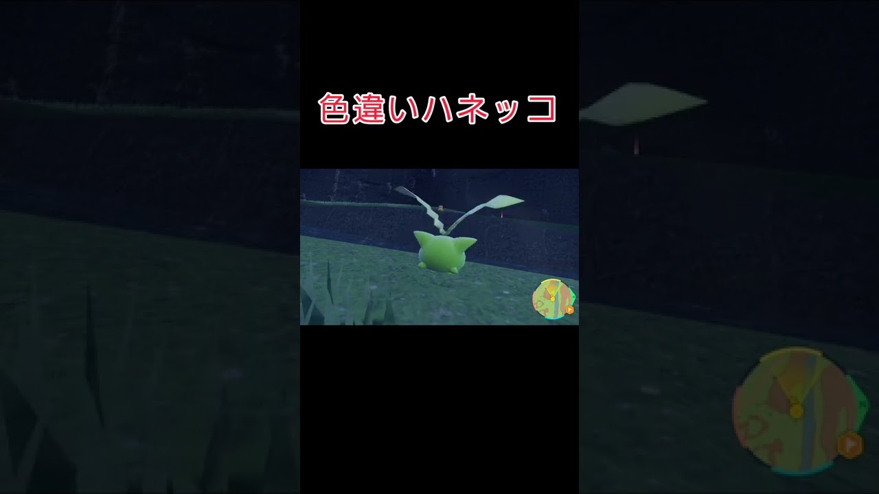 色違いハネッコ進化の瞬間【ポケモンSV ポケモンスカーレット/バイオレット】 #shorts #pokemonscarlet  #pokemonviolet