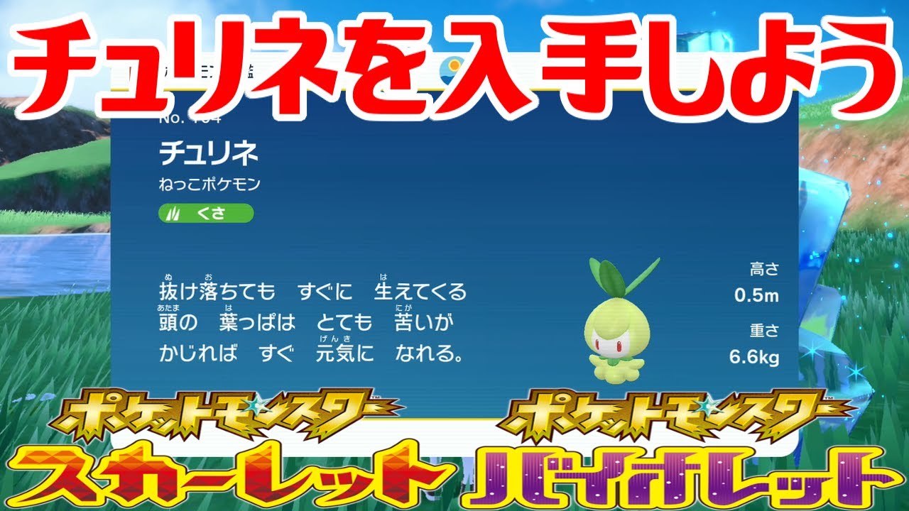 【ポケモンSV】チュリネを入手しよう【ポケットモンスター スカーレット・バイオレット】Pocket Monsters