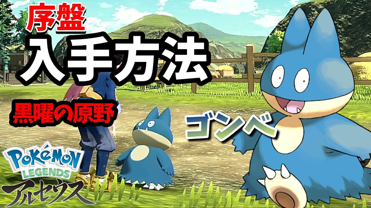 低確率で出現のゴンベをゲットしたい！出現場所！詳しく説明【ポケモンアルセウス 黒曜の原野 】