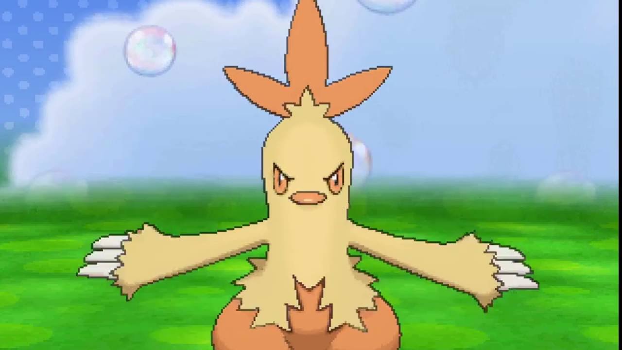 ポケパルレ　ワカシャモと戯れるだけの動画