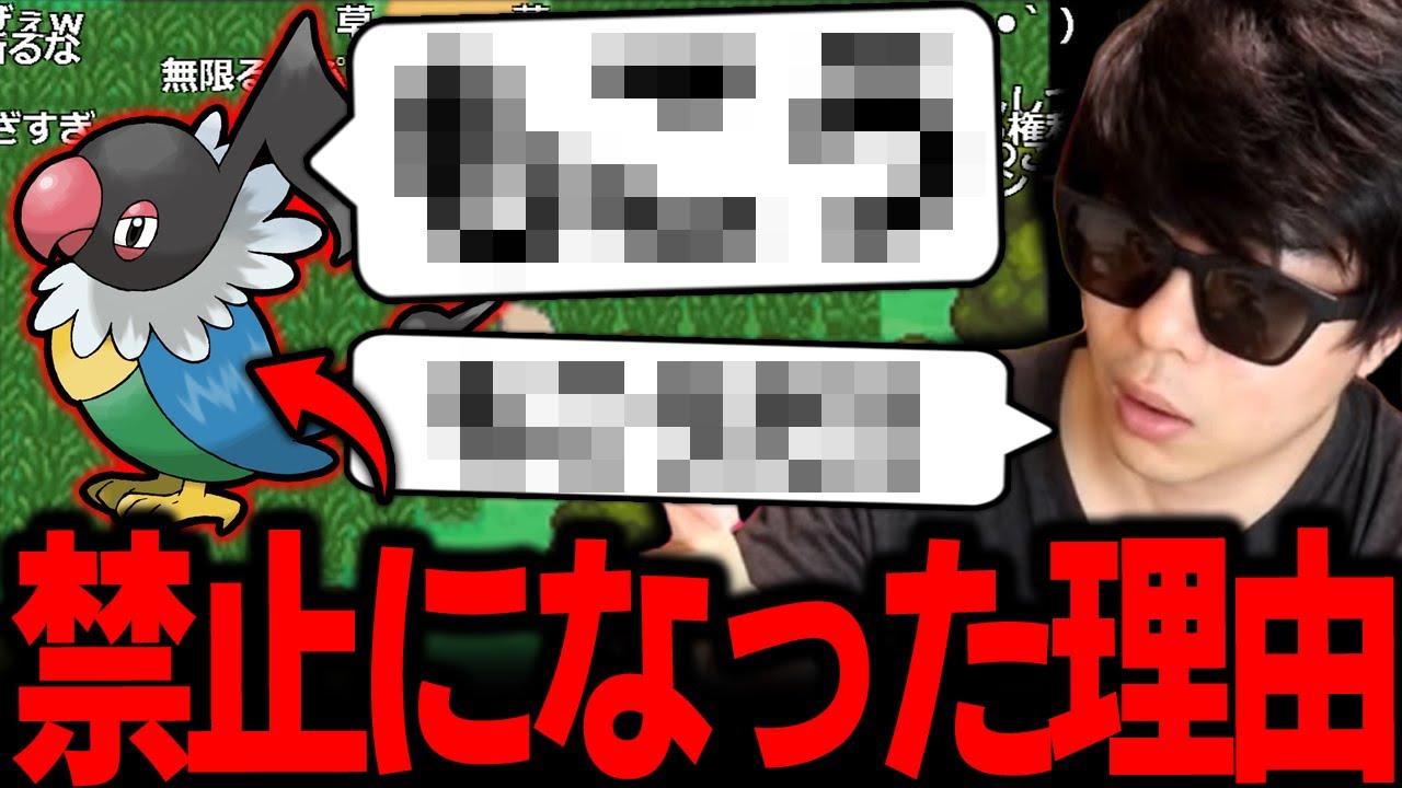 【もこう】対戦で禁止になった「ペラップ」に言葉を覚えさせるも...www【ポケモン 切り抜き】