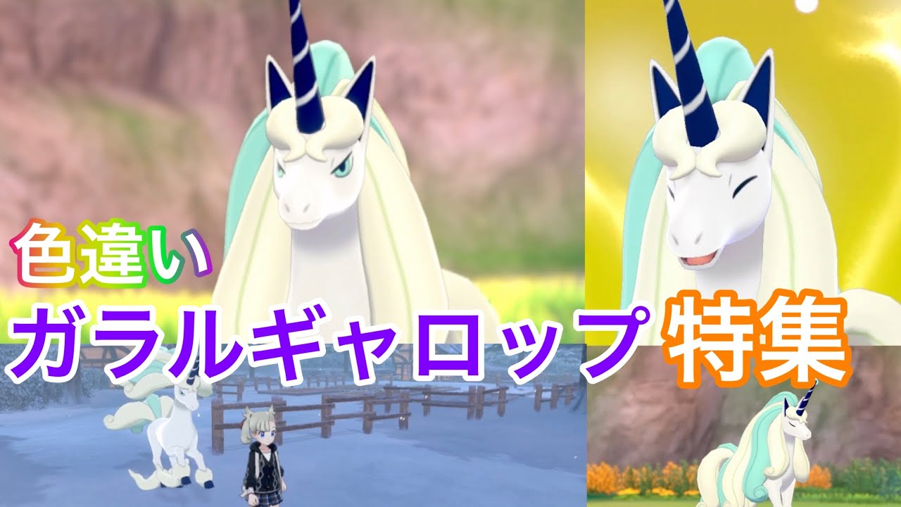 【ポケモンキャンプ#49】可愛い &カッコいい色違いガラルギャロップ特集♡ Shiny Pokémon