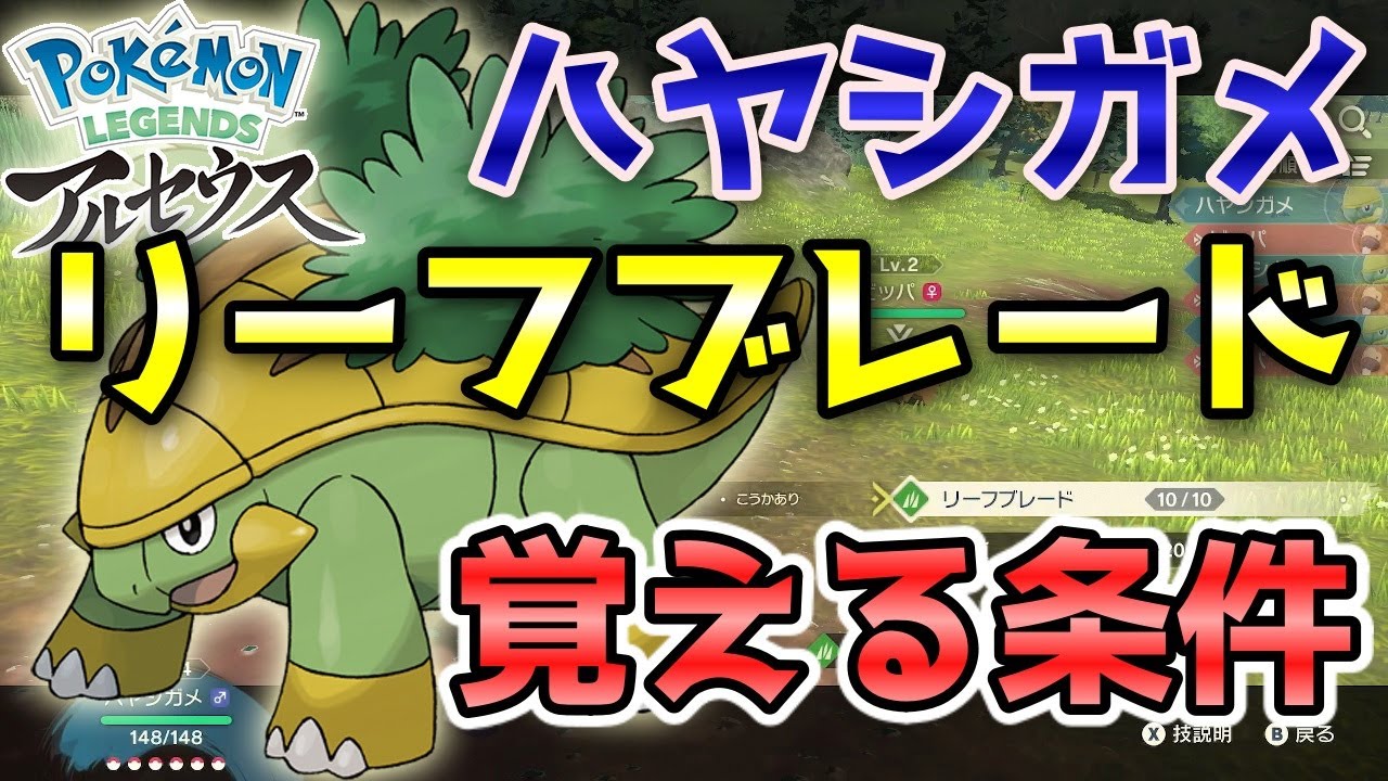 【アルセウス】ハヤシガメ「リーフブレード」覚える条件！図鑑埋めに最適！【ポケモン レジェンズ】