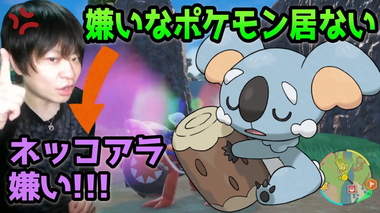 ネッコアラが捕まらなすぎて発狂する漢【ポケモンSV】