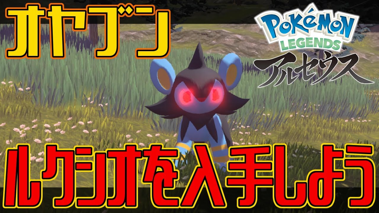 【ポケモンアルセウス】オヤブンのルクシオを入手しよう【Pokémon LEGENDS アルセウス】