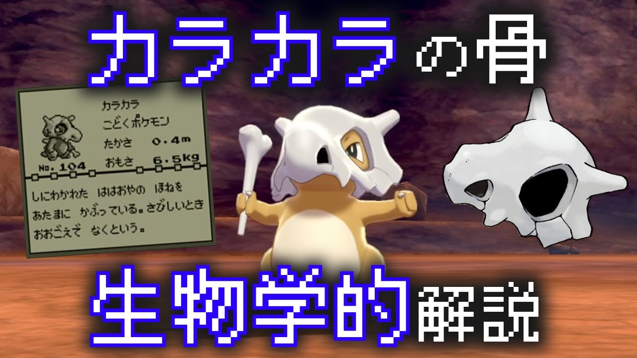 カラカラの頭の骨は本当に母親の物なの？｜ポケモン空想科学講座｜ポケモンgo、ポケモン剣盾考察
