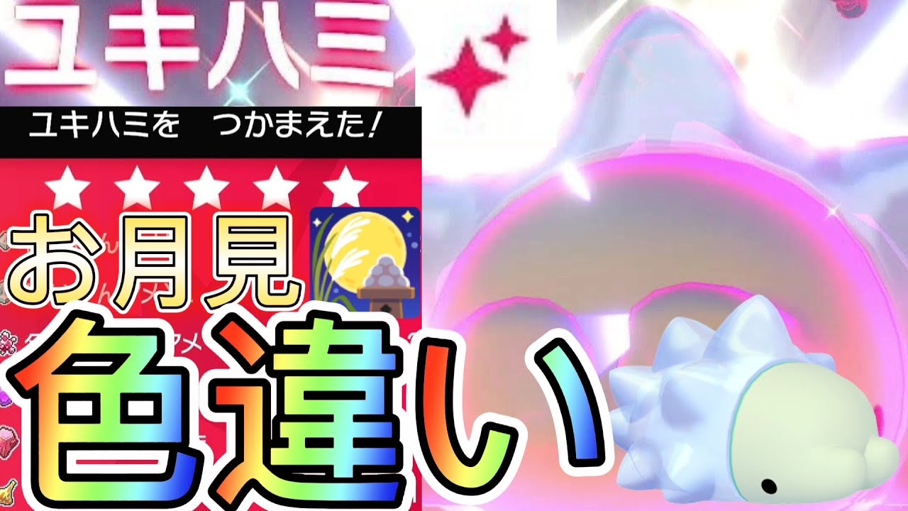【期間限定レイド】色違い出し方解説！！色違いユキハミ出現率アップイベントレイド/お月見/ポケモン剣盾/ソードシールド/Nintendo Switch