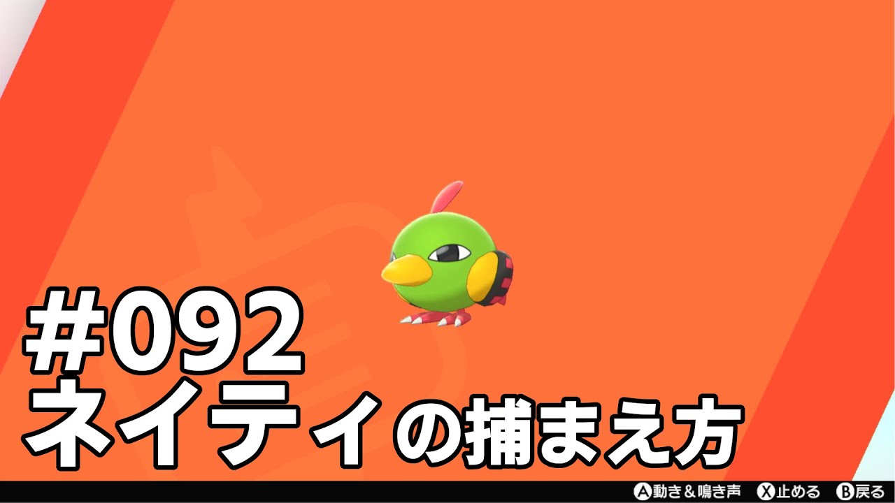 ネイティを探している方に見てほしい動画