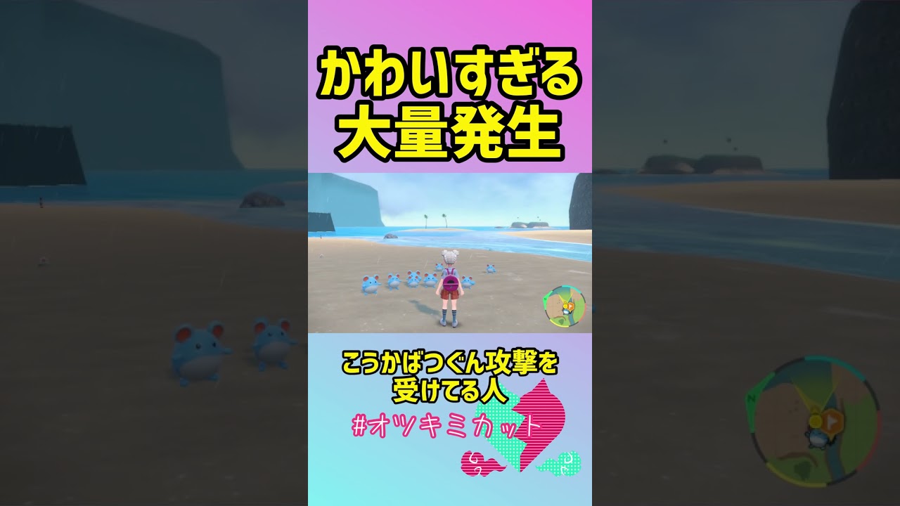 【ポケモンSV】かわいい！大量発生「行列するマリル」 #Shorts