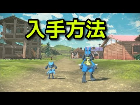 【ポケモン アルセウス】ルカリオ 入手方法 出現場所 リオル【Pokémon LEGENDS アルセウス】