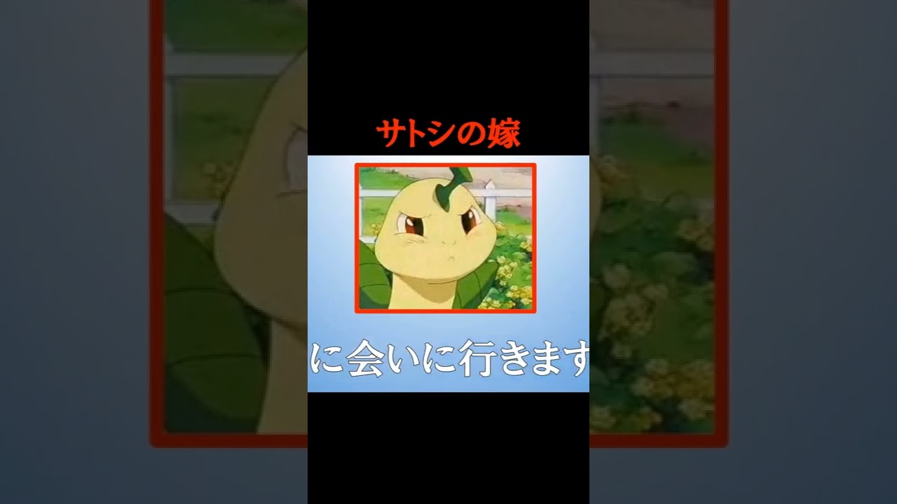 《アニポケ小話》サトシの嫁の香りは〇〇【意外な特徴紹介】