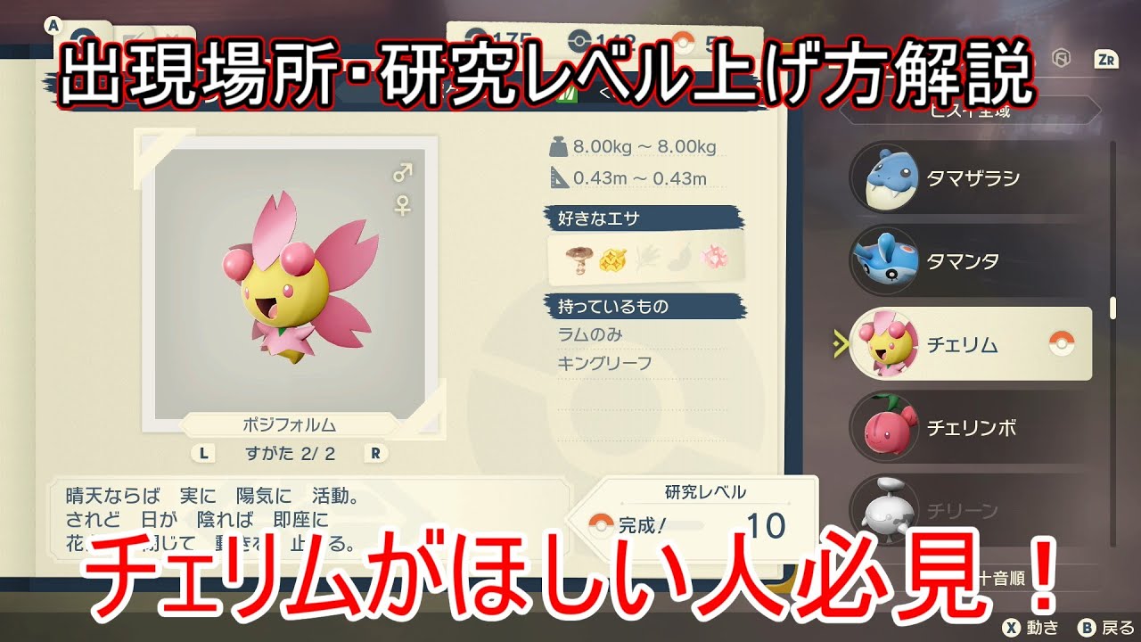 【レジェンズアルセウス】チェリム・チェリンボ入手方法・進化方法解説！チェリムはチェリンボから進化させましょう！【ポケモンレジェンズアルセウス】【攻略】【ポケモンアルセウス】【ゲット方法】【出現場所】